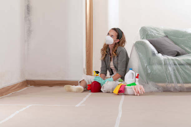 Trusted Mold Testing service in Commack, NY - WQB Mold Removal